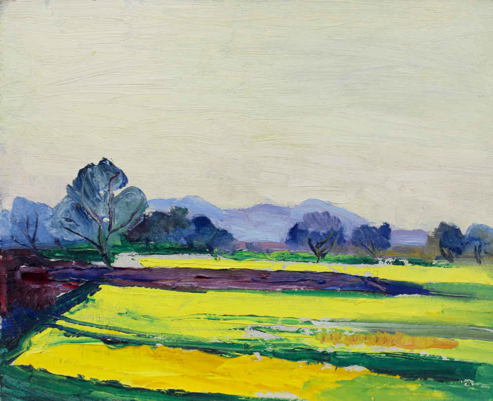Bright Western Fields